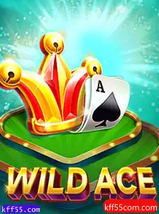 Explorando o Novo Jogo WildAce: Regras, Estratégias e Dicas